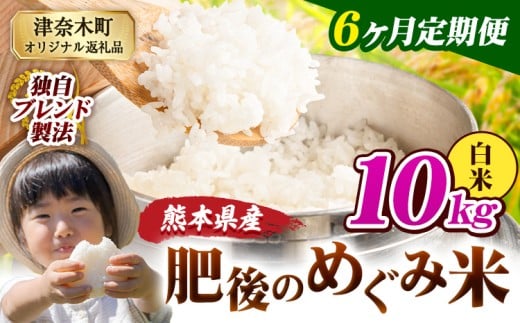 【6ヶ月定期便】白米 熊本県産 ブレンド米 肥後のめぐみ米 10kg 熊本県産 ふるさと納税 精米 米 こめ ふるさとのうぜい コメ お米 おこめ《お申込み翌月から出荷》