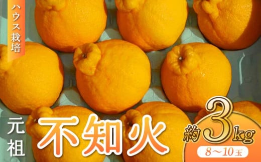 【先行予約】 ハウス栽培 元祖 不知火 約3kg 8-10玉 【2026年3月上旬から2026年4月下旬発送予定】 玉揃え しらぬい 柑橘 蜜柑 みかん ミカン 果物 くだもの フルーツ 国産