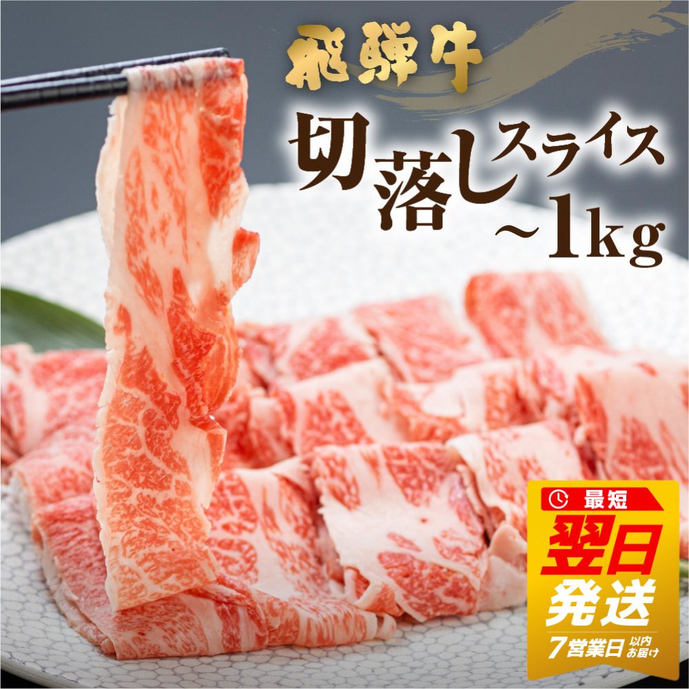 【ふるさと納税】《訳あり》飛騨牛 切り落としスライス 500g(250g×2) 1kg (250g×4) 選べる内容量 小分け すぐ 届く 発送 焼肉 牛肉 黒毛和牛 和牛 すき焼き 焼き肉 しゃぶしゃぶ 訳アリ わけあり ワケアリ 不揃い 部位おまかせ 煮物 飛騨［Q1020x Q1024x］12000円 24000円