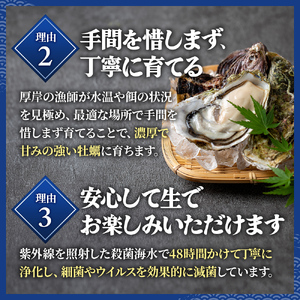 牡蠣 厚岸のブランド牡蠣 マルえもん Lサイズ 40個 生食用 魚貝類 海鮮 海のミルク 国産 生食用殻付き牡蠣 まろやか クリーミー 食べやすい品種 海の香り 牡蠣の酒蒸し 焼き牡蠣 マルえもん