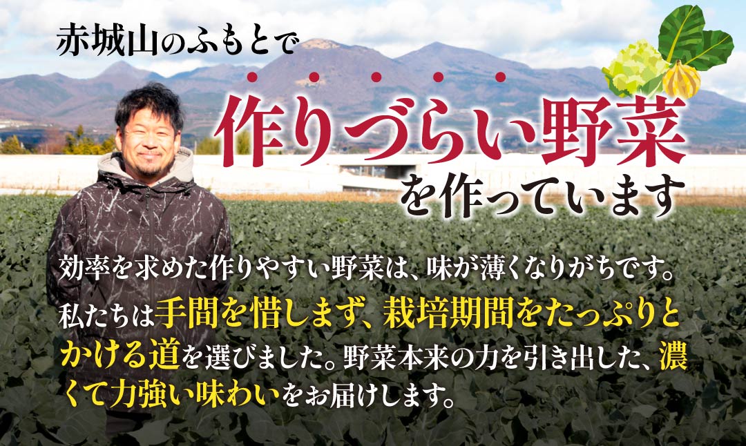 西洋野菜 一般野菜 旬野菜セット 12～13品 | 減農薬 野菜ソムリエ 旬野菜 イタリア野菜 珍しい 食べ比べ 生野菜 サラダ 野菜セット 詰め合わせ ギフト レシピ 贈り物 国産 朝採れ 新鮮野菜