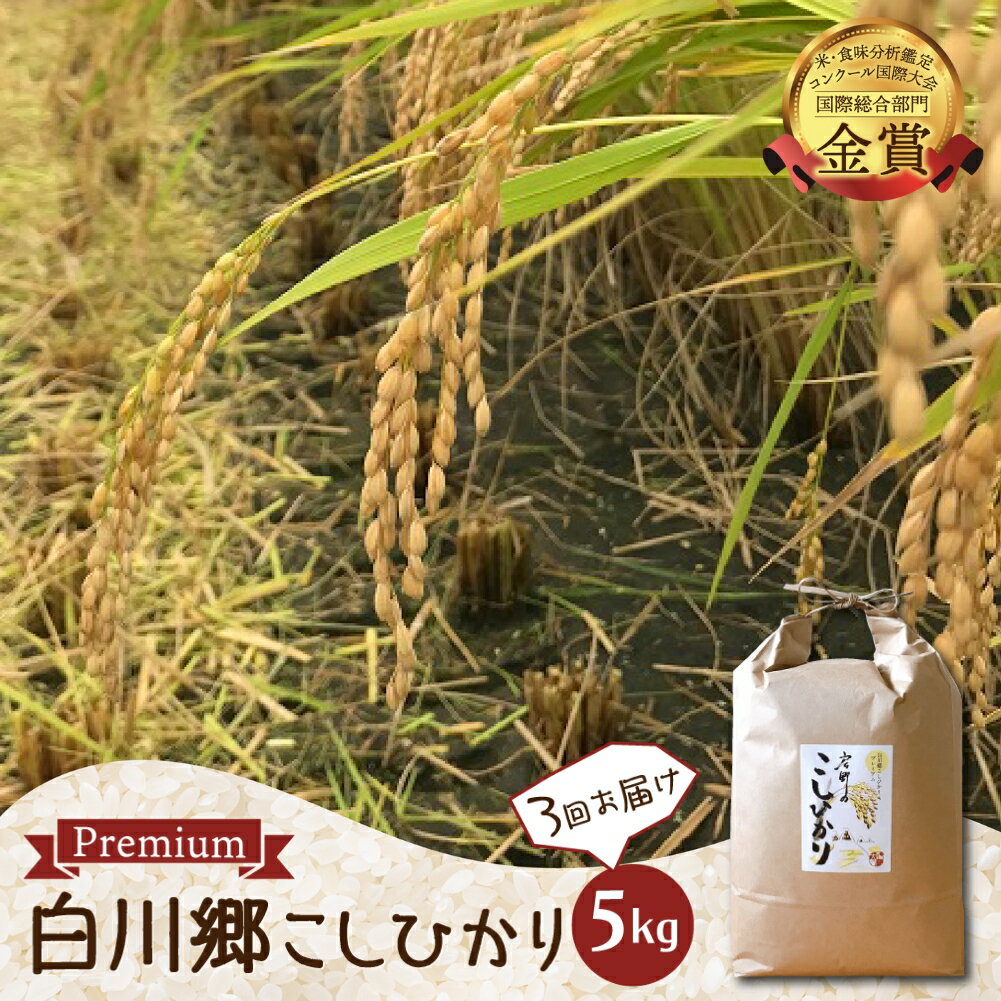 【ふるさと納税】【令和8年産 先行予約】定期便 3回 白川郷 戸ヶ野のこしひかりプレミアム 5kg 事前予約 こだわりのお米 精米 コシヒカリ 岐阜県 飛騨 世界最高米認定農家 大田ファーム 60000円 [S282]