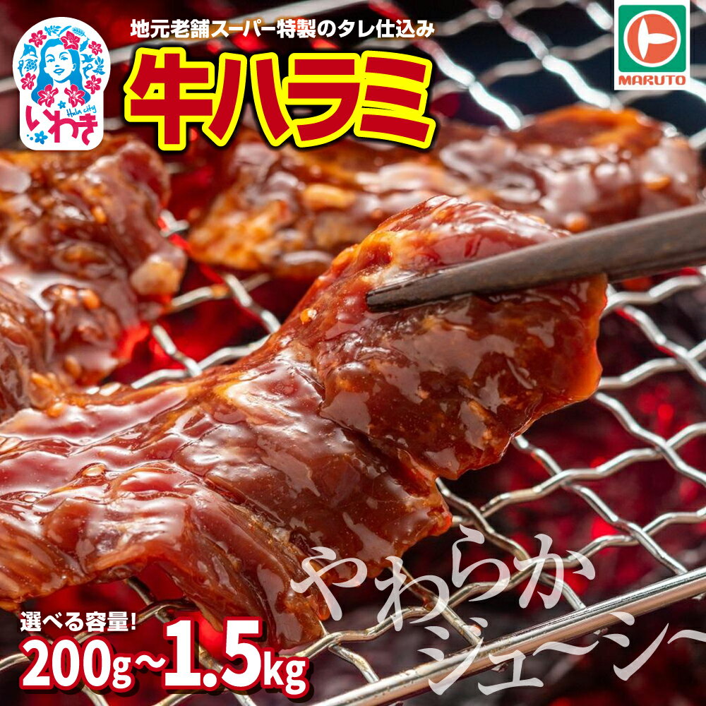 【ふるさと納税】味付き牛ハラミ　選べる内容量（200g〜1.5kg）小分け 大容量 | 単品 定期便 特製タレ 焼くだけ 手作業で加工 焼肉 お取り寄せ バーベキュー ふるさと納税はらみ ふるさと納税ハラミ 柔らかい やわらかい 父の日 スーパー マルト 新着