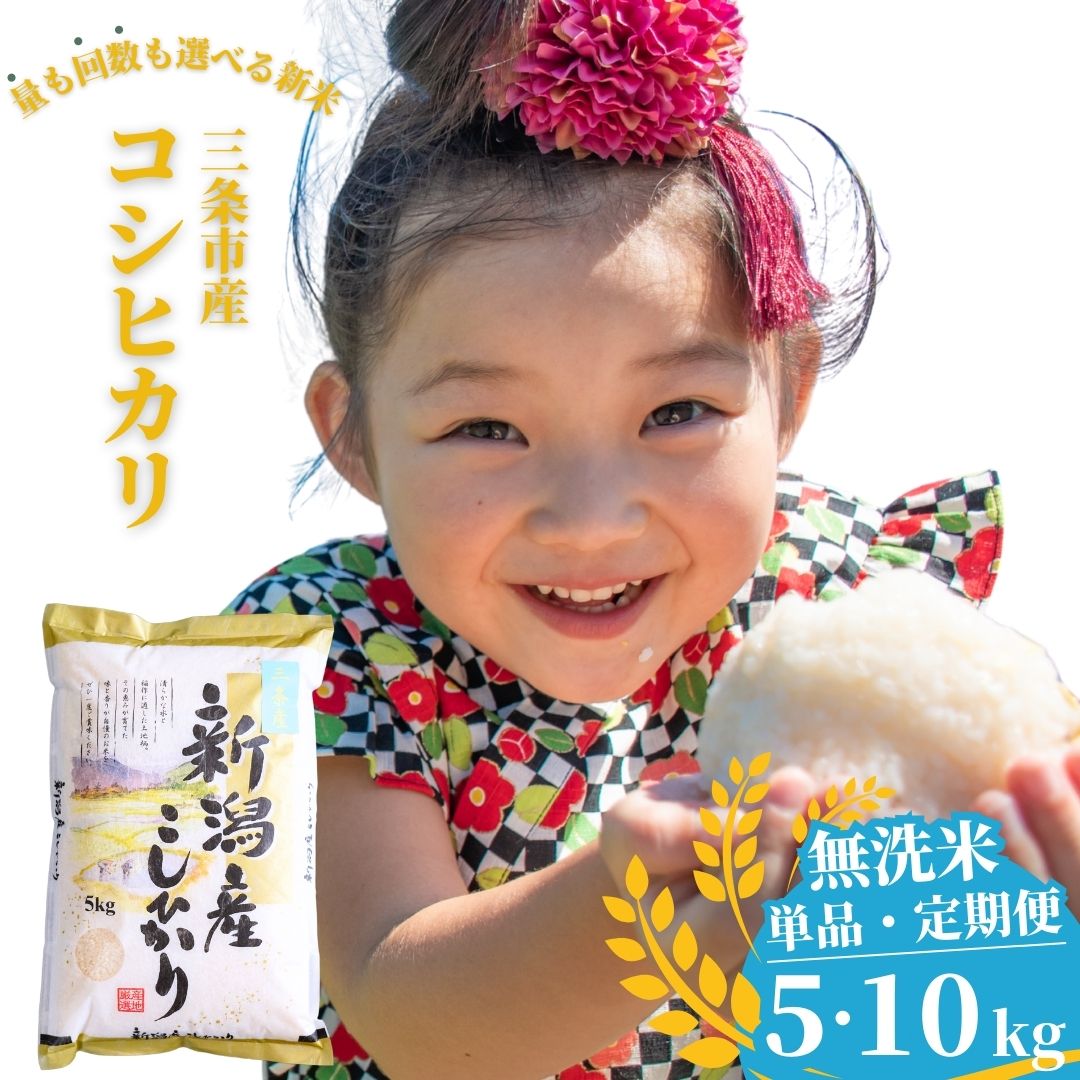 【ふるさと納税】新米 先行予約 無洗米 新潟県三条市産コシヒカリ 5kg・10kg 選べる配送回数（1・3・6回）こしひかり 令和7年産 米 [株式会社白熊]【010S100】