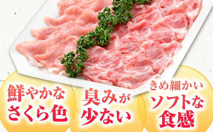 【ブランド豚を堪能】肥前さくらポーク しゃぶしゃぶセット【JAさが 杵島支所】 [HAM027]