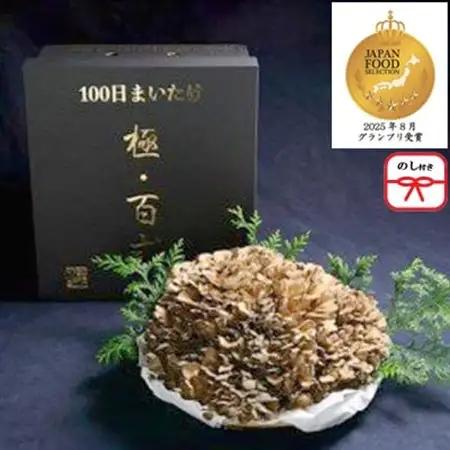 【のし付き】100日まいたけ 極百式　2kg以上の1株づくり【配送不可地域：離島・沖縄県】【1430228】