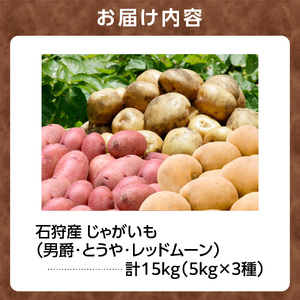 石狩産 じゃがいも3種セット(男爵・とうや・レッドムーン) 15kg【9月発送】