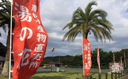 【2027年出荷分】湯の花　ポンカン5kg箱セット　【 ポンカン 】