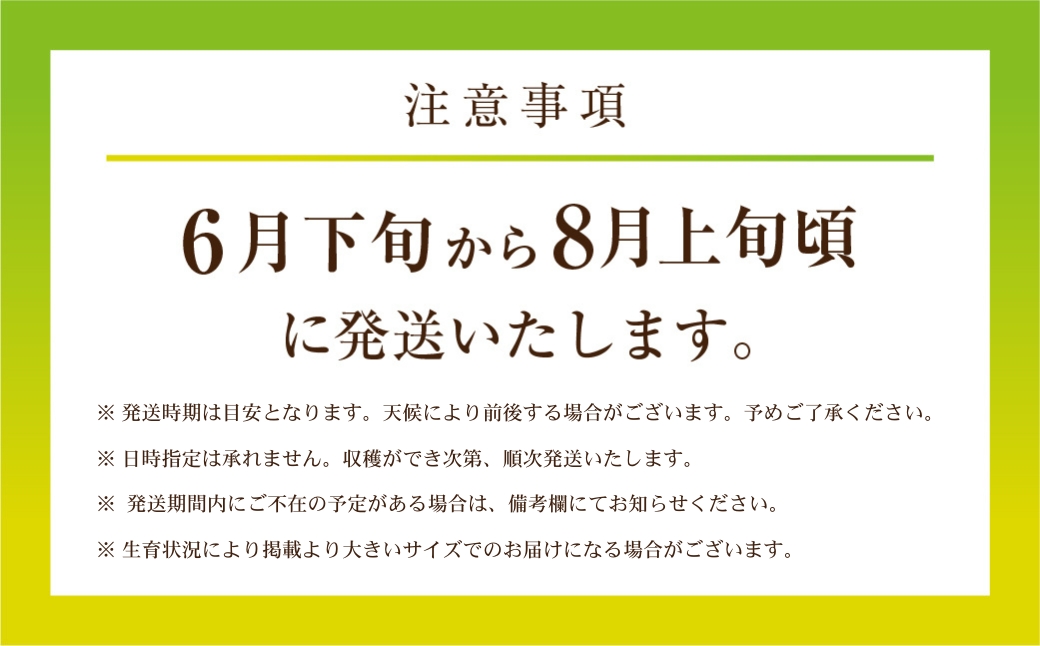 先行予約 数量限定 野菜ソムリエ推薦渥美半島伊良湖潮風育ちマスクメロン3玉(4～5キロ)カラーギフト箱入り　2026年６月下旬～８月上旬発送 田原市 伊良湖産 ギフト プレゼント お取り寄せ 渥美半島