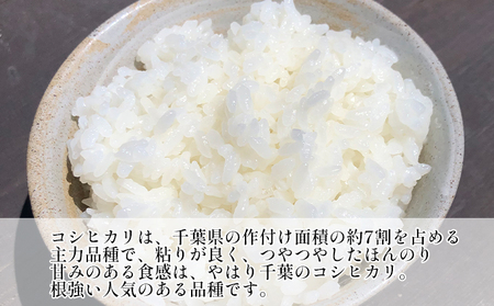 コシヒカリ 白米 令和7年 千葉県産 コシヒカリ【10kg×6ヶ月】【定期便】