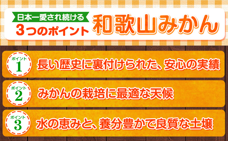 和歌山県産 訳あり みかん (3S～3L) 約5kg《11月上旬-12月末頃出荷》和歌山県 日高川町 果物 フルーツ 訳ありみかん 家庭用