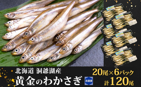 洞爺湖町産 黄金のわかさぎ 20尾×6P 計120尾 北海道産 ワカサギ わかさぎ 川魚 魚介類 産地直送 冷凍 お取り寄せ グルメ 料理 天ぷら フライ とうやマルシェ 北海道 洞爺湖町