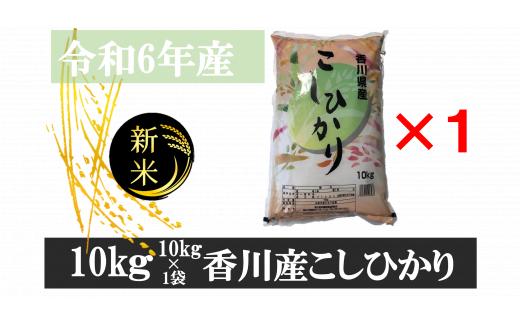 996-12　令和6年産香川県産こしひかり　10ｋｇ×1　紙袋配送【12月配送】