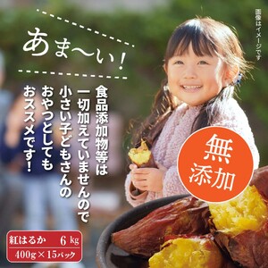 2334R_長期熟成！極甘しっとり焼いも/紅はるか6kg（400g×15P）