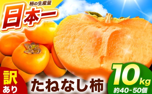 訳あり たねなし柿 約10kg （ 40～50個 ) 大人気 | 種無し たねなし 柿 フルーツ 果物 くだもの カキ かき 農家直送 家庭用 フードロス 秋の味覚 旬 大小混合 奈良県 五條市 まろやか 食べやすい 種なし やさしい 甘さ 大容量 こだわり 産地直送 10月 秋 旬 自宅用 グルメ お取り寄せ 送料無料 高評価 わけあり 訳アリ 株式会社柳澤果樹園