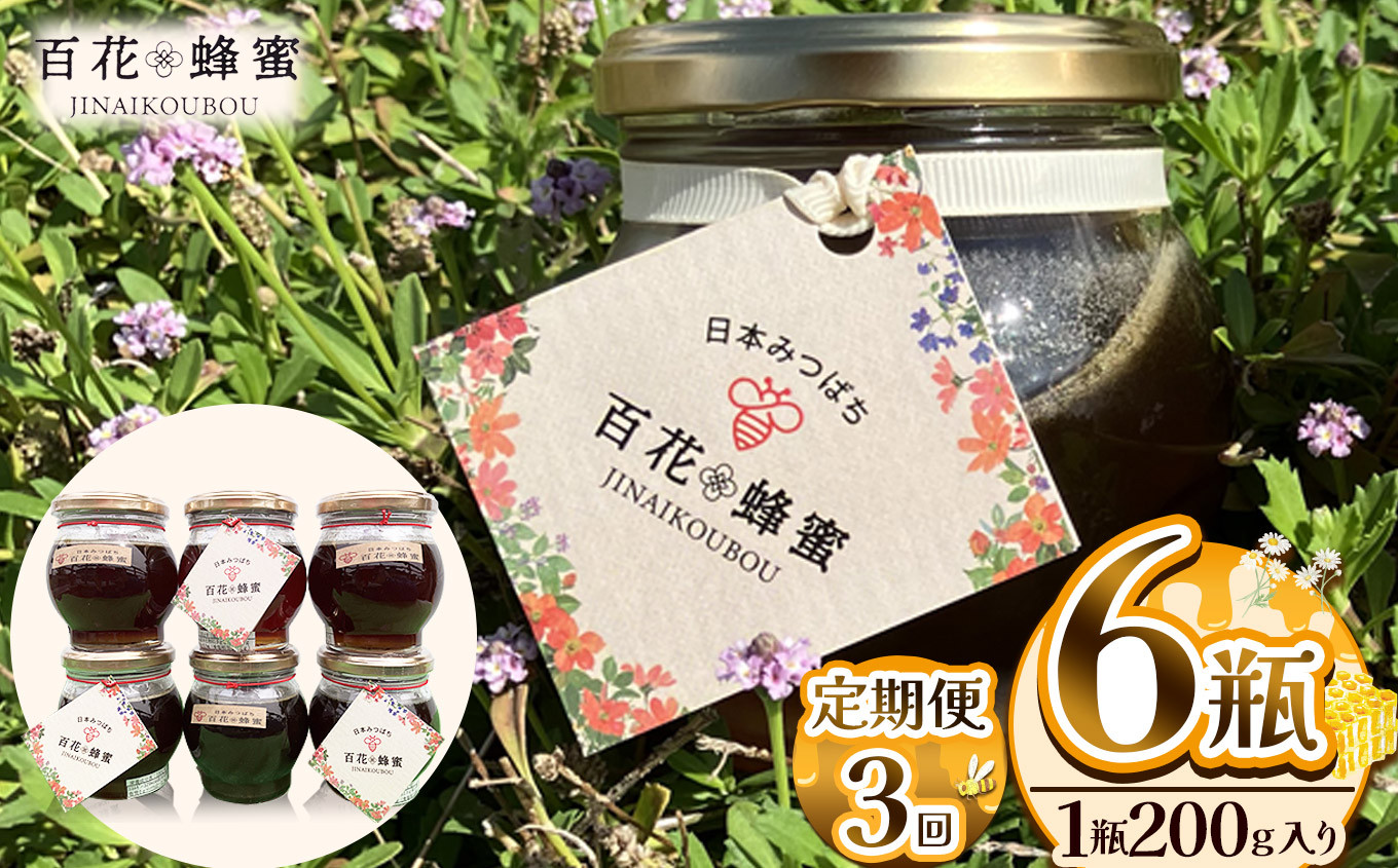 
                  【定期便3回】日本ミツバチの百花蜂蜜 6瓶 (200g入) | 定期便3回 ハチミツ はちみつ ミツバチ 純度100％国産 無添加 栃木県 下野市
                