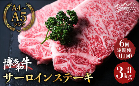 【全6回定期便】大満足！ 博多和牛 牛肉 サーロイン ステーキ 500g（250g×2）＜肉のくまもと屋＞那珂川市 サーロインステーキ肉 サーロインステーキ肉 サーロインステーキ肉 和牛 サーロインステーキ肉  定期便 定期便定期便 [GBI034] 158000 158000円