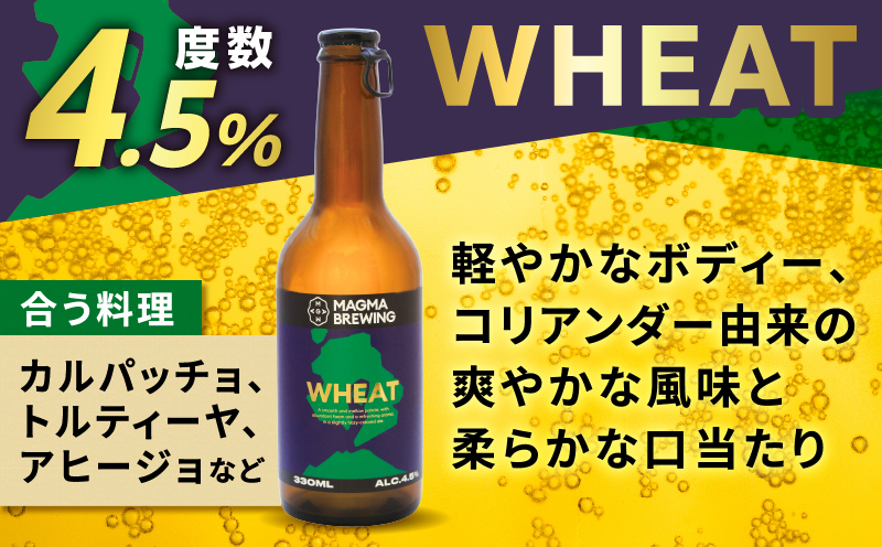 クラフトビール3本飲み比べセット K267-001