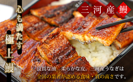 三河産うなぎ「蒲焼き冷凍×5尾（650ｸﾞﾗﾑ以上：100ｸﾞﾗﾑ～160ｸﾞﾗﾑ内）＋鰻肝串2本付き×2袋」・A184