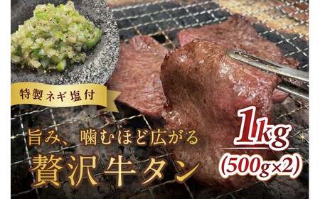 【ふるさと納税】毎月お届け3回 葱塩牛タンスライス500g×2