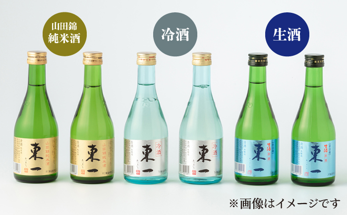 東一 飲み比べセットB (山田錦純米酒 冷酒 生酒) 300ml 6本 【嬉野酒店】 NBQ010