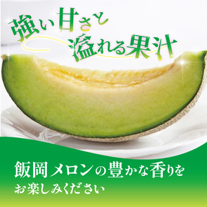 【2024年先行受付分】飯岡メロン(青肉)大玉5L(約1.7kg)2玉入【1372529】