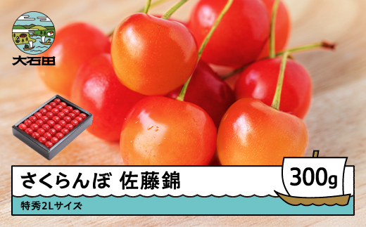 
                  【先行予約】 さくらんぼ 佐藤錦 特秀2Lサイズ ギフト 化粧箱入 300g 2027年産 令和9年産 山形県産 ns-snt2x300
                