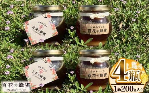 日本ミツバチの百花蜂蜜（4瓶） ／ ハチミツ はちみつ ミツバチ 純度100％国産 無添加 栃木県