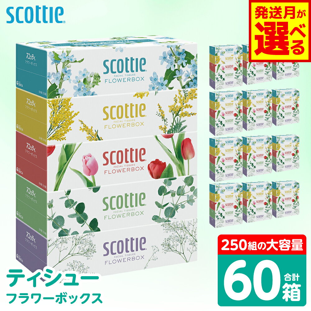 【ふるさと納税】【選べる発送月】 【スコッティ】 ティシュー フラワーボックス 250組 60箱 ティッシュ 日用品 生活必需品 防災備蓄 ストック 備蓄 新生活 防災 消耗品 生活用品 日用消耗品 箱ティッシュ 送料無料