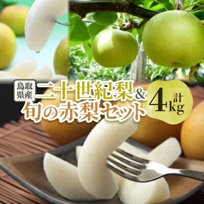 【ふるさと納税】二十世紀梨と旬の赤梨セット 4kg【配送不可地域：離島・北海道・沖縄県】【1593378】