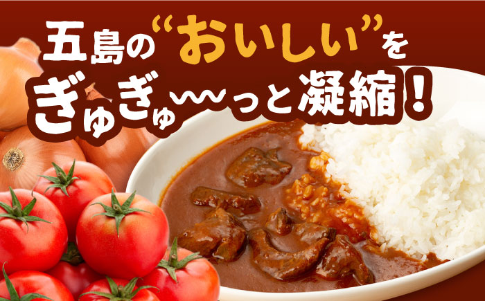 【全12回定期便】【五島牛と五島産の食材を使用したレトルト商品】こだわりの五島ハヤシ10箱セット【出口さんご】 [PBK021]