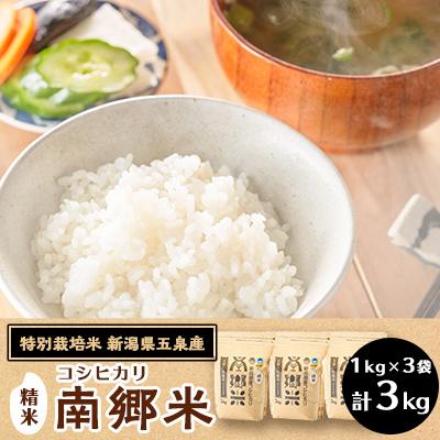 ふるさと納税 五泉市 令和8年産 特別栽培米 隠れたお米の名産地!新潟県五泉産コシヒカリ「南郷米」精米3kg