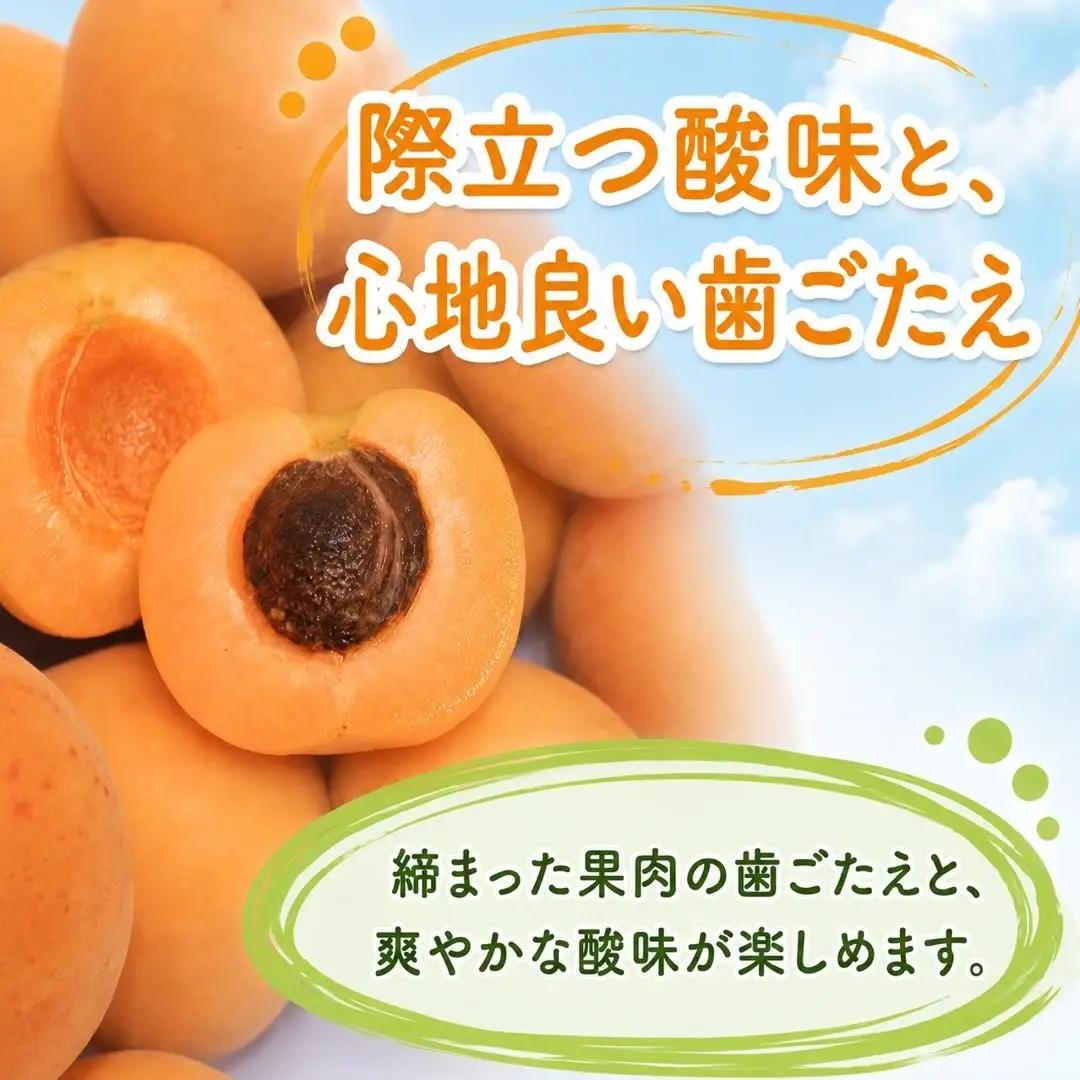 【2027年先行予約】あんず 昭和(長野県オリジナル品種) 約2kg |あんず 千曲市産 長野県 信州