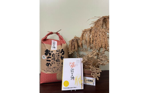 【ふるさと納税】1871 玄米 令和7年産結びの神 玄米10キロ 数量限定 ご飯 お米 コメ 10キロ 伊勢市 伊勢市産 伊勢志摩 三重県 米粒が大きい つや べたつき少ない もちもち ふっくら 大西農園