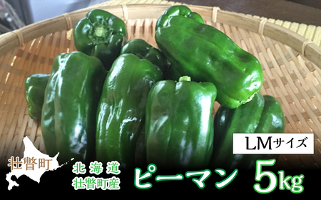 ＜2025年7月下旬よりお届け＞北海道壮瞥町産 ピーマン 約5kg SBTL014