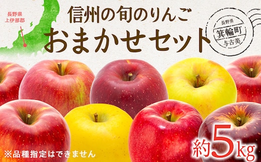 
										
										先行予約 訳あり りんご 信州の旬のりんごおまかせ 約5kg セット 2024年 令和6年度発送分 リンゴ 林檎 長野 フルーツ 果物 信州産 長野県産 特産 産地直送 家庭用 おすすめ
									