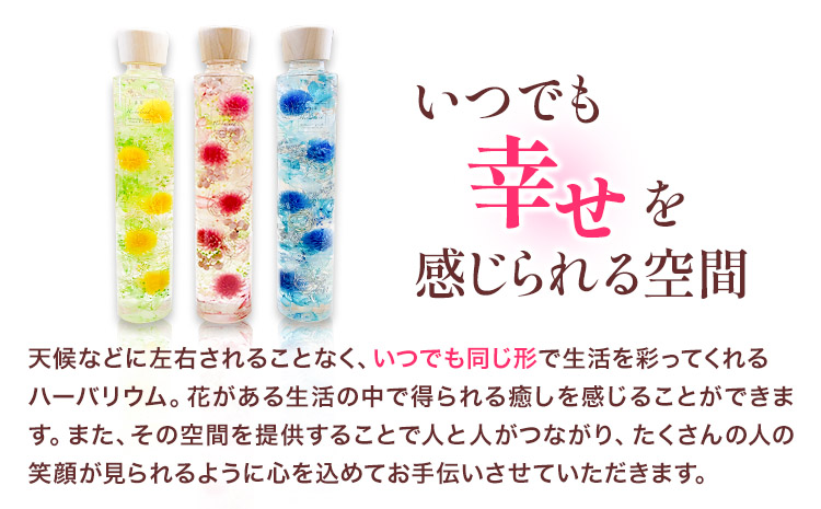 ハーバリウム ドットデザインボトルロング２本セット 【カラー：ブルーとイエロー】 香華《90日以内に出荷予定(土日祝除く)》 和歌山県 日高町 花 インテリア フラワーギフト