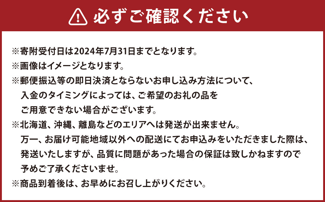 糖度18度以上を厳選してお届け！熊本県産 シャインマスカット2房