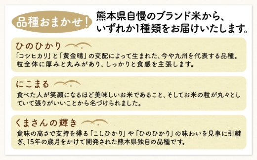 米  南関町 単一原料米 (ひのひかりorにこまるorくまさんの輝き) 無洗米 10kg《11月中旬-12月末頃出荷》熊本県産 国産 ひのひかり 無洗米 こめ コメ 10キロ