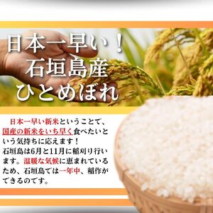 【石垣島産ひとめぼれ】日本最南端の日本一早い新米・10kg　【 沖縄県 石垣市 米 お米 新米 】SI-59