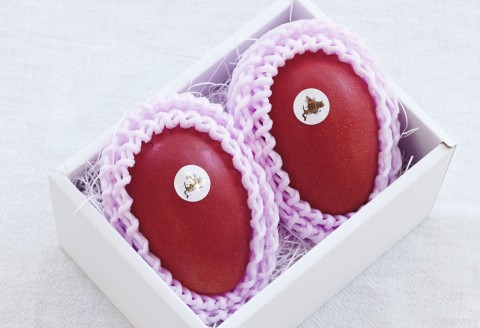 十勝マンゴーLサイズ×2玉【C40】