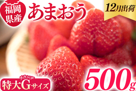 福岡県産 あまおう 500g （250g×2パック） いちご 12月中発送 いちご 苺 フルーツ 果物 くだもの 大粒Gサイズ グランデ 農家直送 大粒 不揃い 福岡県 福岡 九州 グルメ お取り寄せ