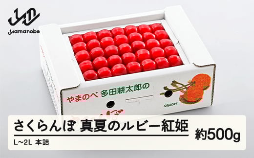 《先行予約》2025年 山形県産 「真夏のルビー紅姫」本詰 約500g L～2L やまのべ多田耕太郎のさくらんぼ サクランボ F20A-786