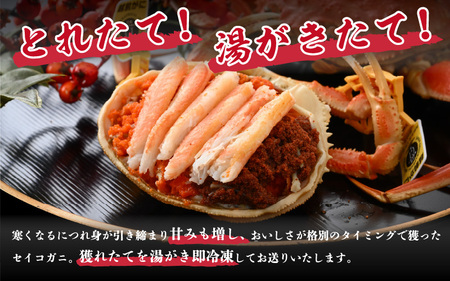 【訳あり】【数量限定！】 全て地物！ 天然！ セイコガニ中（140g～）3杯セット（冷凍）食べ方説明書付き 【カニ かに 蟹 せいこがに 越前セイコガニ ずわいがに ズワイガニ ボイルガニ ボイル わ