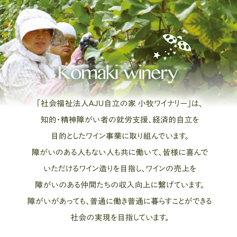 小牧ワイナリー 赤ワイン２本飲み比べセット（小牧産ぶどう100％使用）