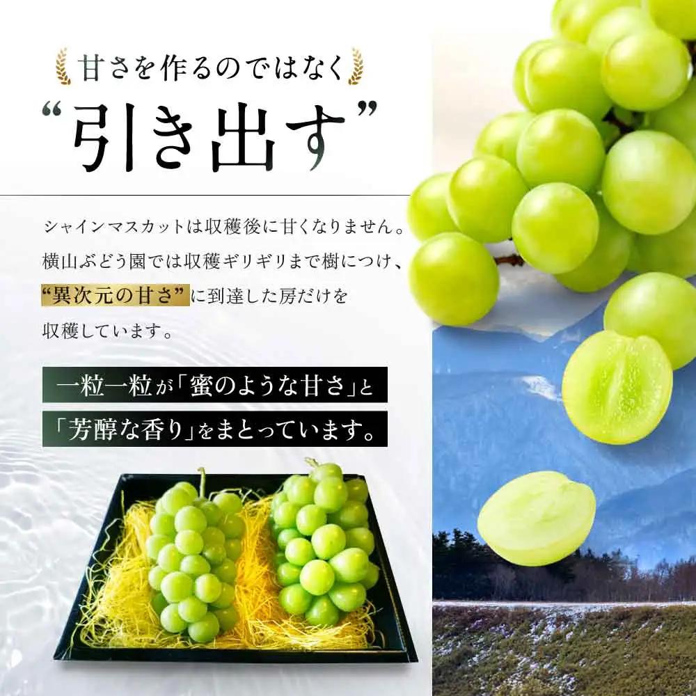 特別栽培 減農薬 シャインマスカット 2房 1.2㎏ 山梨シャインマスカット
