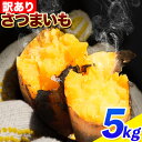 【ふるさと納税】和歌山県 の さつまいも 訳あり ご家庭用 約 5kg 在来種《12月中旬‐4月下旬頃より出荷》和歌山県 日高川町 みはらファーム さつま芋 薩摩芋 わけあり さつまいも いも さつま芋 サツマイモ 訳ありさつまいも 訳ありいも 家庭用