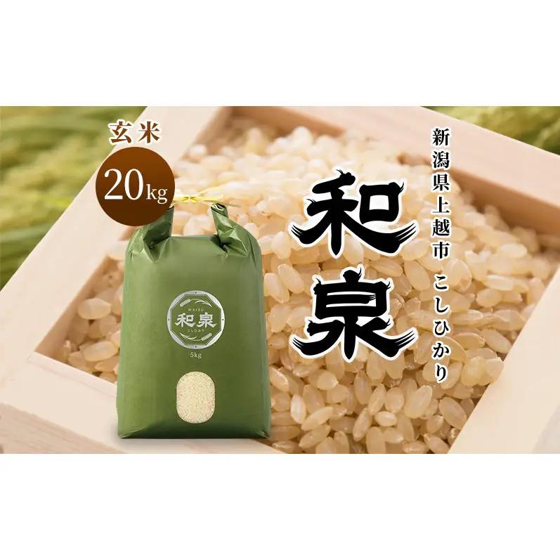 先行予約 玄米 令和8年 新潟県 上越産 こしひかり 20kg （5kg×4袋） 和泉 ワイズファーム 上越市  米 ギフト 喜ばれる コシヒカリ