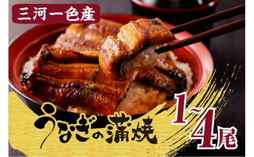
                  三河一色産うなぎの蒲焼_47-179
                