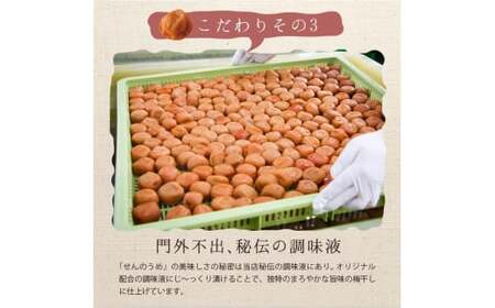 梅干し 紀州南高梅梅干し  1kg 秀品 【spo005-2】